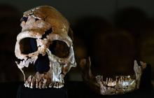 Arkeolog Rekonstruksi Wajah Wanita Neanderthal Berusia 75.000 Tahun, Begini Parasnya