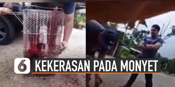 VIDEO: Viral Aksi Pria Lakukan Kekerasan Terhadap Monyet Hingga Di Cat Merah