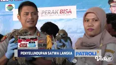 Polres Pelabuhan Tanjung Perak dan BKSDA berhasil gagalkan penyelundupan ratusan satwa terlindungi dan ilegal dari Makassar.