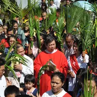 Pada peringatan Minggu Palma, ruang gereja dipenuhi dengan daun palem. Kenapa?