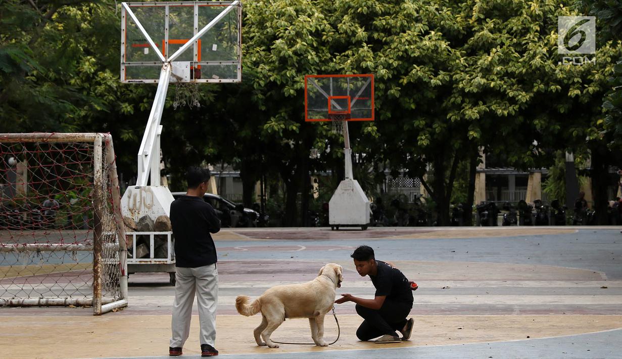Warga membawa anjingnya saat beraktivitas di lapangan Taman Menteng, Jakarta, Kamis (1/6). (Liputan6.com/Immanuel Antonius)