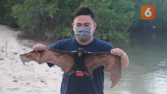 Salah satu pengunjung saat melakukan penelitian di Desa Olibu, Kecamatan Paguyaman Pantai, Gorontalo (Foto: Liputan6.com/Arfandi Ibrahim)