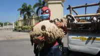 Aksi Spiderman Bagi-Bagi Hewan Kurban untuk Anak dengan HIV/AIDS di Solo