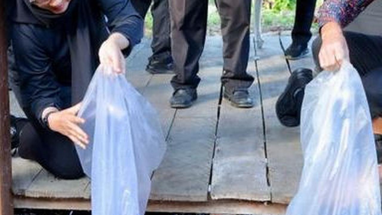 Sungai Watch Sebar Jaring Penghalang Sampah di 23 Sungai Banyuwangi, Target 100 Jaring