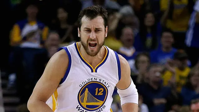 Andrew Bogut