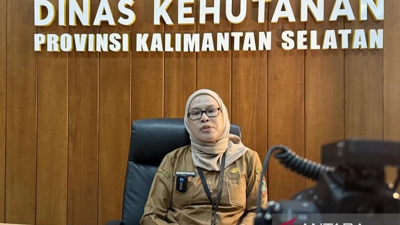 Dishut Kalsel: Pendanaan Internasional Percepat Pemulihan Lahan Kritis dan Tutupan Hutan