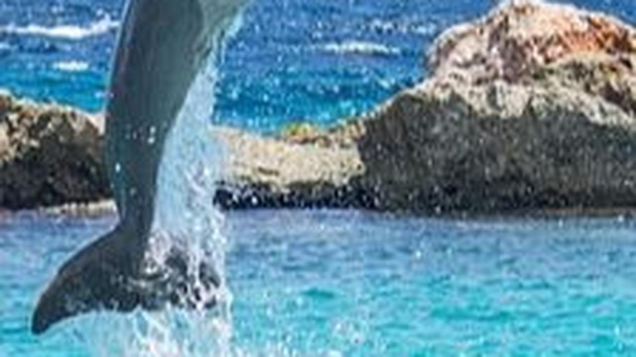 Wisata Batang Populer, Cocok untuk Destinasi Liburan Keluarga