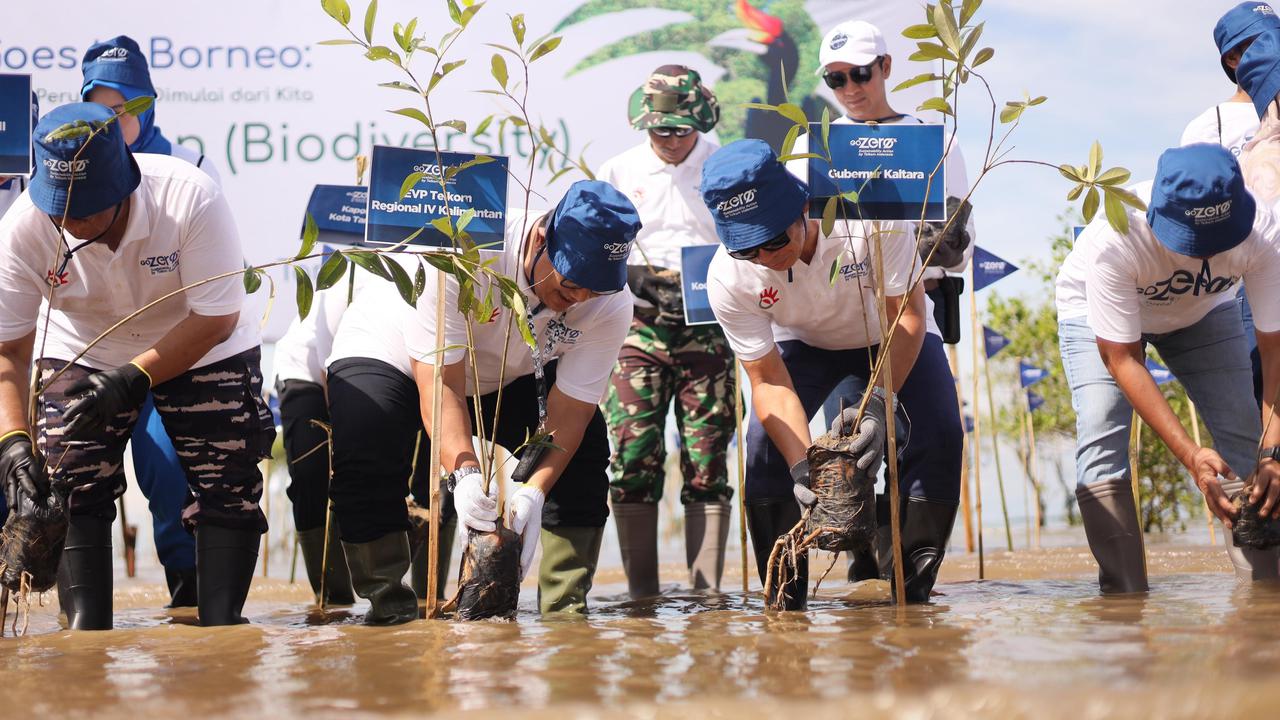 Peringati Hari Keanekaragaman Hayati, Telkom Wujudkan Harmoni Alam dengan Teknologi