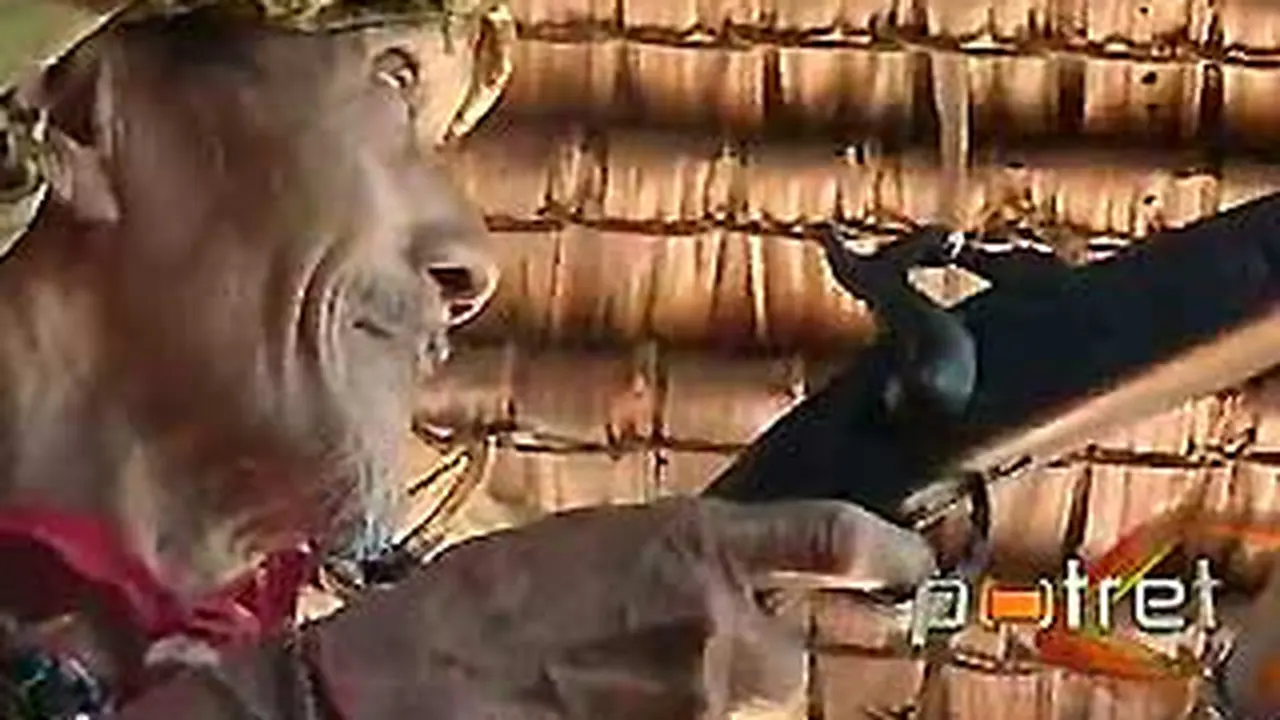 110626potret.jpg