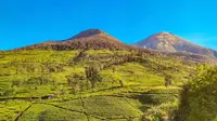 Pemandangan Gunung Cilik Kaliurip di Wonosobo. (Dok: Instagram @ferlywiranagara&nbsp;https://www.instagram.com/ferlywiranagara?igsh=MWU2YXB6d2xlM3dvNg==)