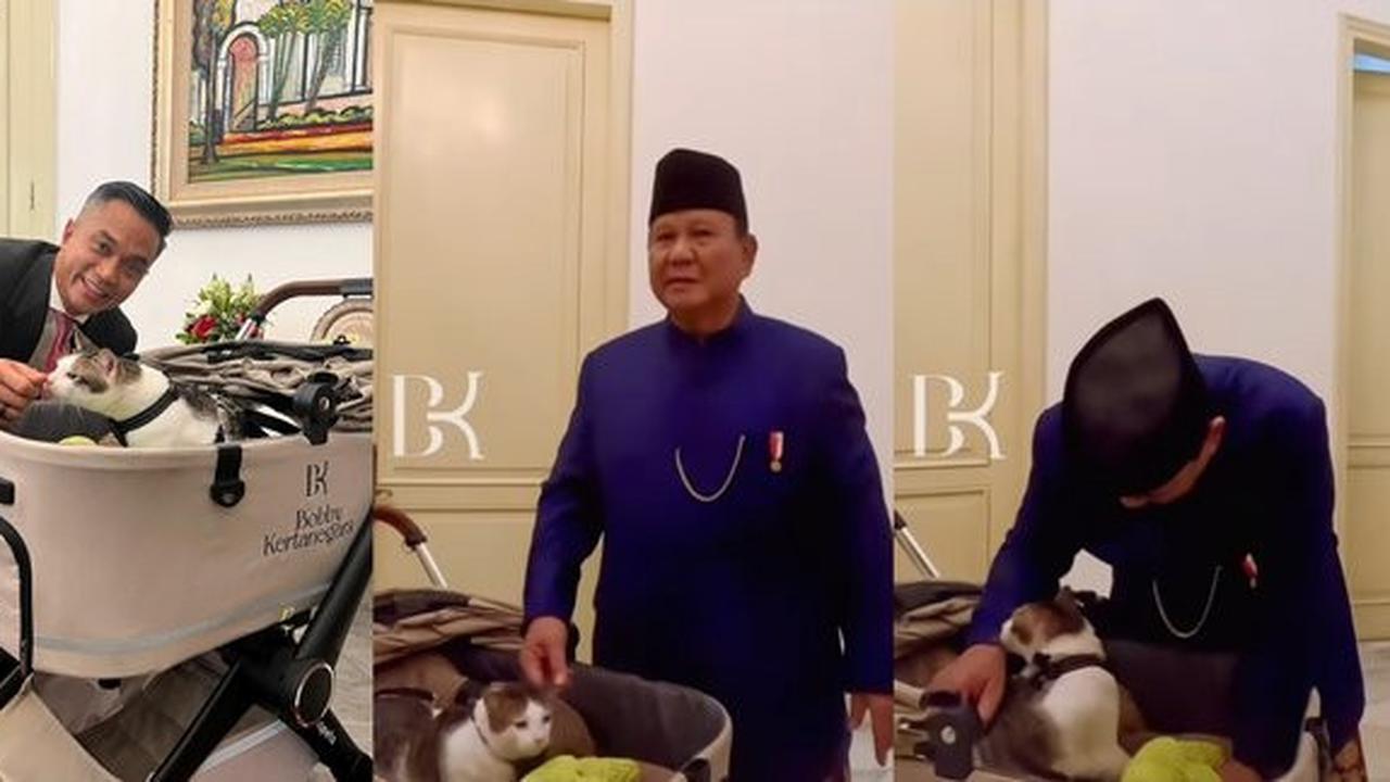 10 Foto Bobby Kertanegara, Kucing Presiden Prabowo Subianto, yang Diistimewakan dengan Stroller dan Kamar Pribadi di Istana