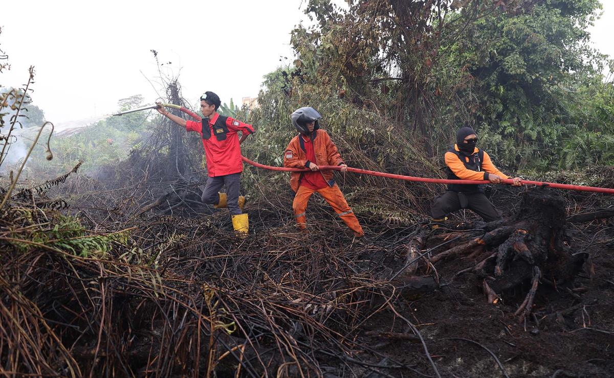 Karhutla Meluas di Sejumlah Wilayah Indonesia