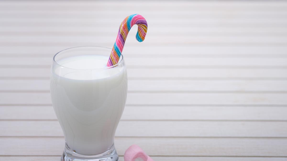 20 Manfaat Susu Kambing Etawa Bagi Kesehatan, Rahasia Sehat dari Alam