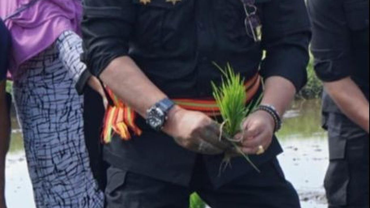 Pemerintah daerah perlu mempertimbangkan data petani yang belum melakukan penebusan serta kebutuhan masing-masing wilayah dalam mengajukan realokasi.