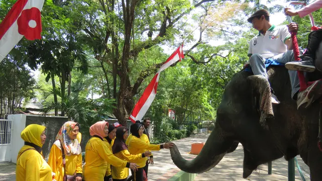 Pagi dengan Mengenang Masa Indah di Kebun Binatang Surabaya
