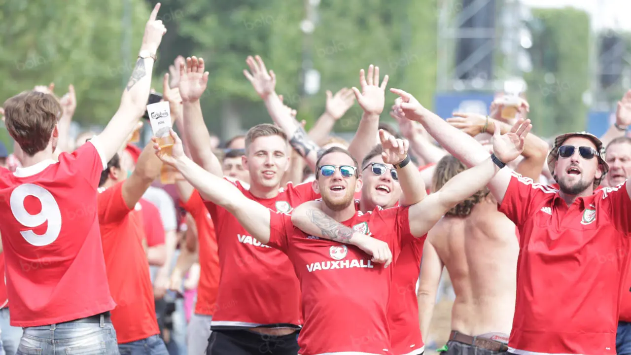 Suporter Wales