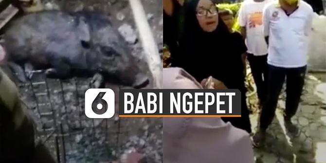 VIDEO: Tuduh Pelaku Babi Ngepet Nganggur Tapi Kaya, Emak-Emak Disindir Warganet