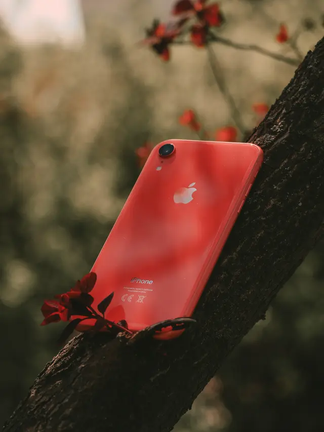 Ilustrasi iPhone | t4hlil dari Pexels