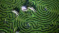 Longleat Hedge, labirin di Inggris yang berhasil dinobatkan sebagai labirin terumit di dunia.