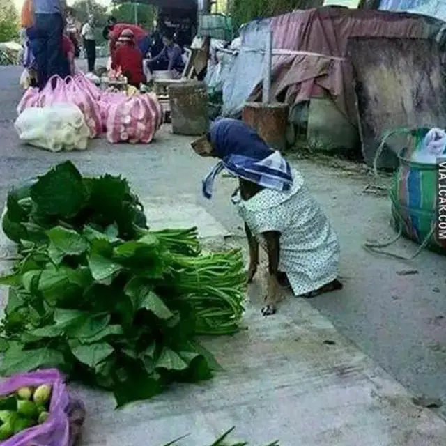 6 Potret Penjual Sayur Nyeleneh Ini Bikin Tepuk Jidat, Pembeli Jadi Mendekat