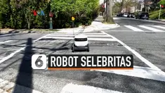 robot selebritas