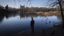 Seorang pengunjung berdiri di samping danau penuh angsa di dekat Great Lawn di tengah Central Park, di wilayah Manhattan, New York, Senin (30/1/2023). Terakhir kali butuh waktu lama sebelum salju bertahan di tanah pada musim dingin adalah tahun 1973, ketika warga New York harus menunggu hingga 29 Januari. (AP Photo/John Minchillo)