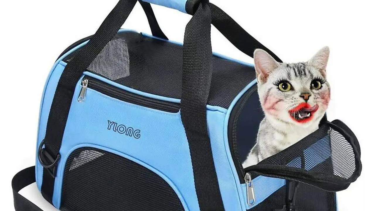 7 Potret Kesalahan Desain Iklan Ini Bikin Ngakak Banget
