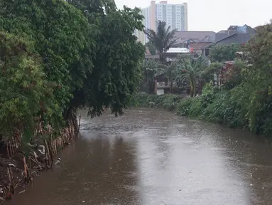 Suasana aliran Sungai Ciliwung di kawasan Rawajati, Jakarta, Selasa (17/12/2019). Hujan deras yang mengguyur Jakarta sejak siang menyebabkan debit air Sungai Ciliwung mulai mengalami kenaikan, namun masih terpantau normal. (Liputan6.com/Immanuel Antonius)