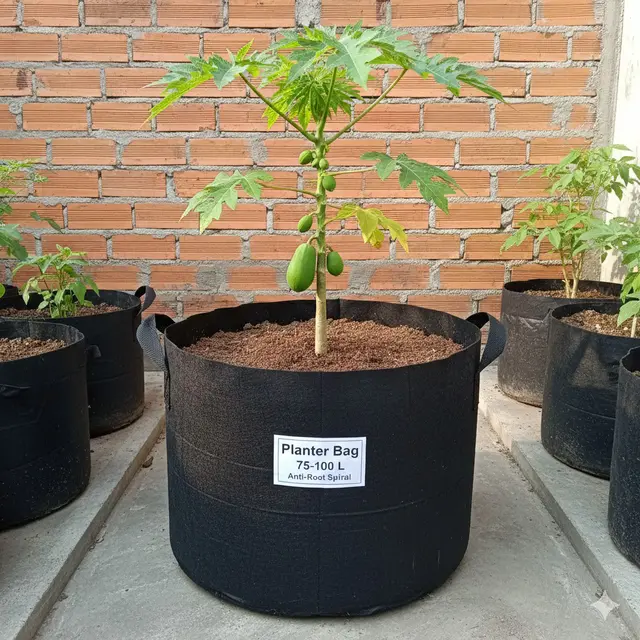 Planter Bag 75–100 Liter (Gemini AI)