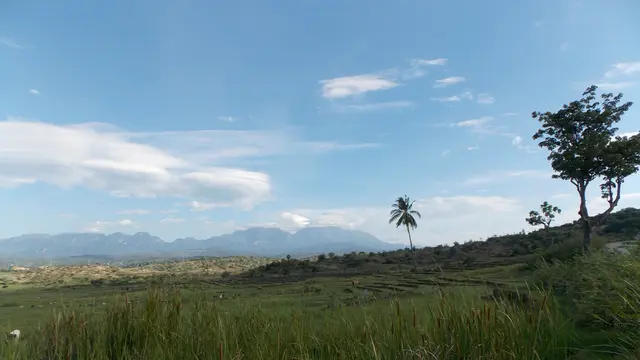 Kaki Gunung Matebean di Timor Leste. (Dok: Gunung Bagging https://www-gunungbagging-com.translate.goog/matebean-mane/?_x_tr_sl=en&_x_tr_tl=id&_x_tr_hl=id&_x_tr_pto=tc)