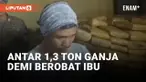 Edan! Pria di Medan Nekat Angkut 1,3 Ton Ganja
