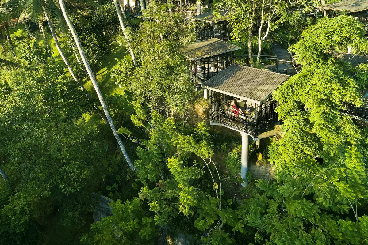 Inspirasi Bulan Madu untuk Pasangan Introvert di Area Ubud Bali