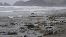 Akibat sampah yang berserakan air pantai berubah warna menjadi coklat karena tercemar. (AP Photo/Martin Mejia)