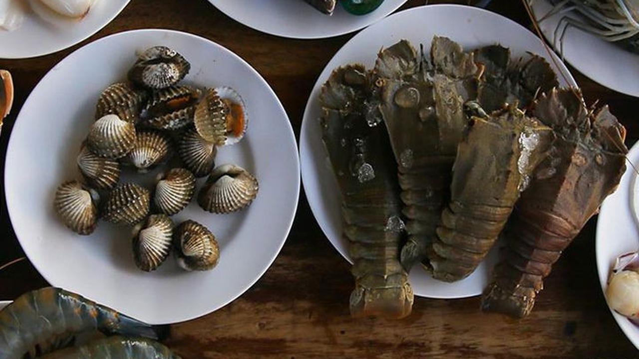 Makanan Laut