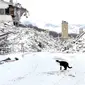 Cuaca dingin ekstrem di Italia (Associated Press)