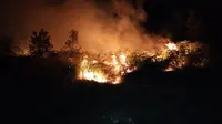 Hutan lahan gambut yang berada di lereng bukit Pusuk Buhit, Kelurahan Siogung Ogung, Kecamatan Pangururan, Kabupaten Samosir, Sumatera Utara (Sumut) terbakar
