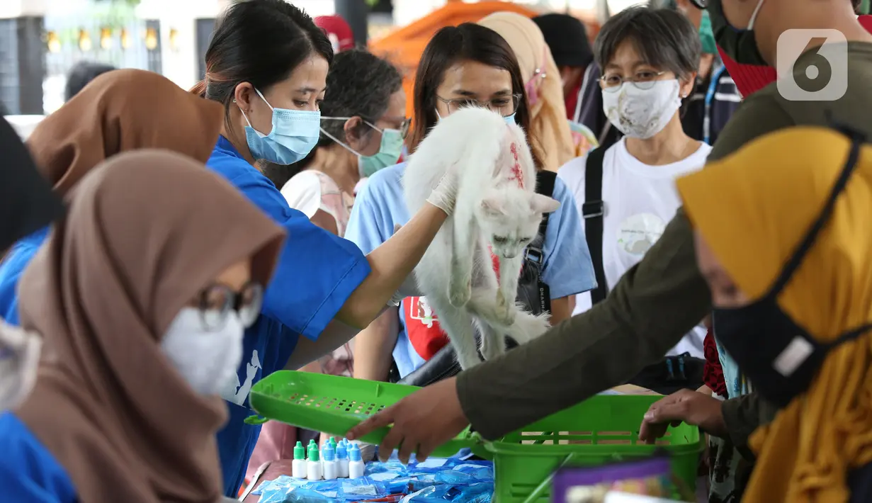 Petugas memeriksa seekor kucing saat melakukan vaksinasi antirabies terhadap hewan peliharaan di Kelurahan Rawa Jati, Jakarta, Sabtu (7/11/2020). Pemberian vaksin gratis tersebut untuk menghindari dan mengantisipasi penyebaran penyakit rabies kepada hewan peliharaan. (merdeka.com/Imam Buhori)