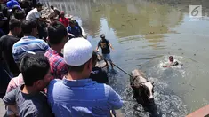 Petugas pemadam kebakaran bersama warga mengevakuasi seekor sapi yang tercebur ke Kali Mberok, Kota Semarang, Sabtu (10/8/2019). Butuh sekitar 3 jam mengevakuasi sapi untuk kurban tersebut hingga mau dimasukkan ke mobil. (Lipuan6.com/Gholib)