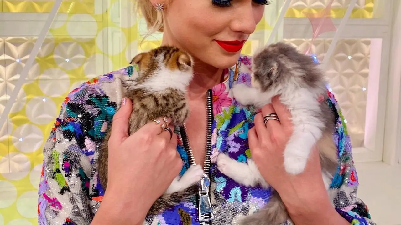 Taylor Swift