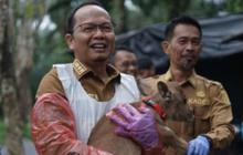 Trivia: Populasi Sapi Bangka Tengah Capai 6.983 Ekor, Target Swasembada Daging Demi Ketahanan Pangan Nasional