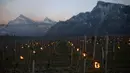Ratusan lilin dinyalakan di kebun anggur dengan latar belakang pegunungan es di Flaesch, Swiss (22/3). Lilin anti-embun ini bertujuan untuk menaikkan suhu dua hingga tiga derajat. (Gian Ehrenzeller / Keystone via AP)