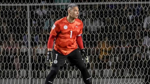 Kiper Timnas Filipina, Neil Etheridge