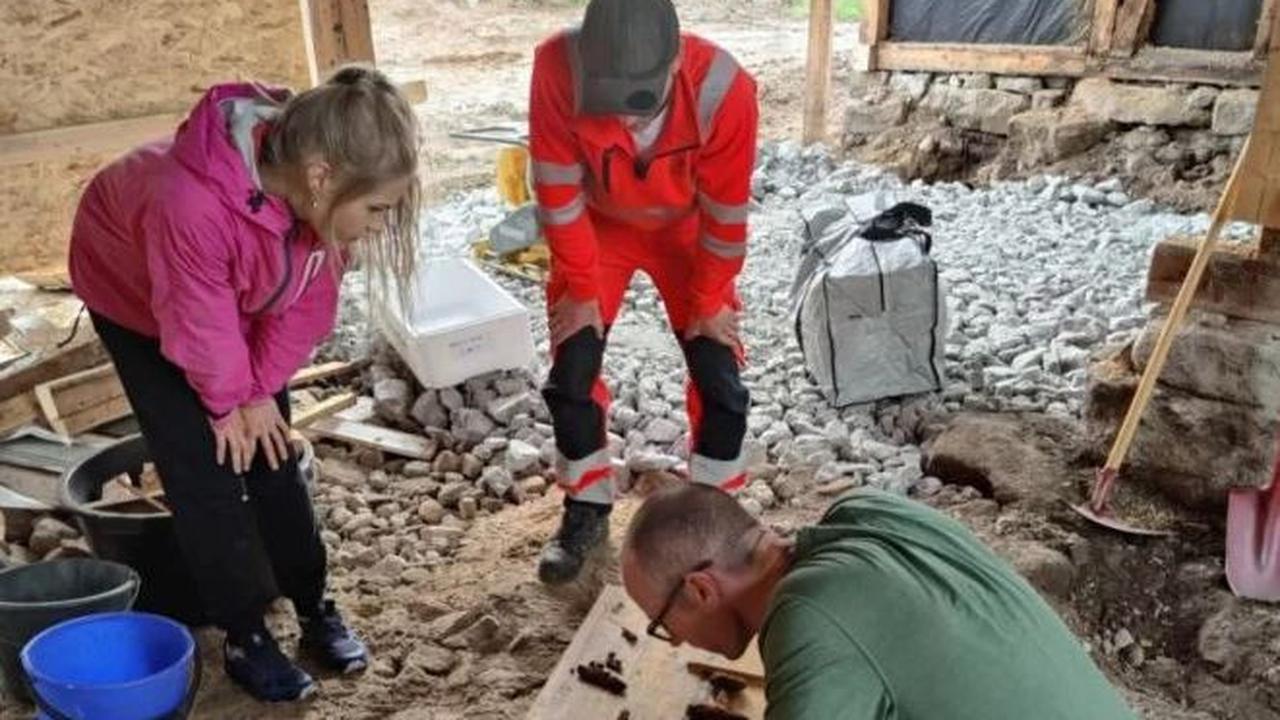 Hari berikutnya, arkeolog Joakim Wintervoll dari pemerintah kota Agder dan Jo-Simon Frshaug Stokke dari Museum Sejarah Budaya Oslo datang untuk melihat penemuan tersebut. Mereka sangat yakin dan mengonfirmasi bahwa seseorang dari bangsa Viking pernah diku