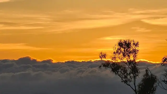 Gunung Aural, titik tertinggi di Kamboja. (Dok: @lim_goldensky https://www.instagram.com/p/BxR1gd3FdOI/?igsh=MXRnOG96eHcyZnJtOA==)