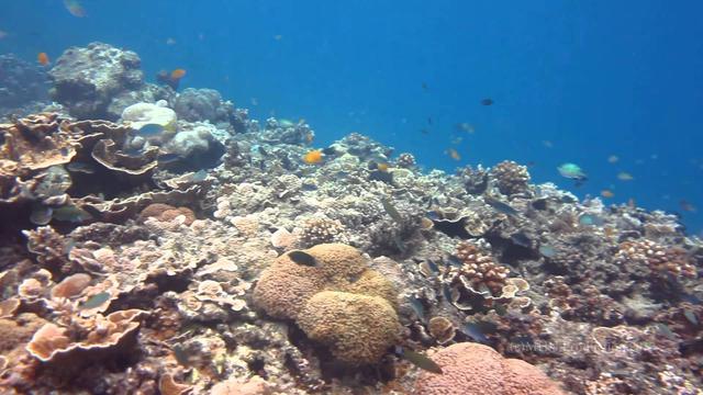 [Bintang] Pulau Pari, Melihat Jakarta di Panorama yang Sama Sekali Berbeda