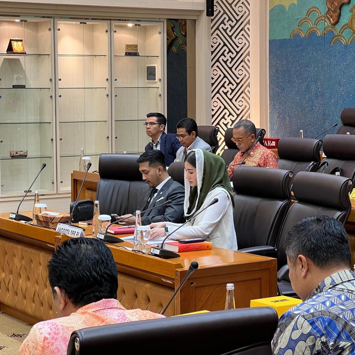 Novita Hardini Anggota DPR RI Komisi VII Fraksi PDI Perjuangan