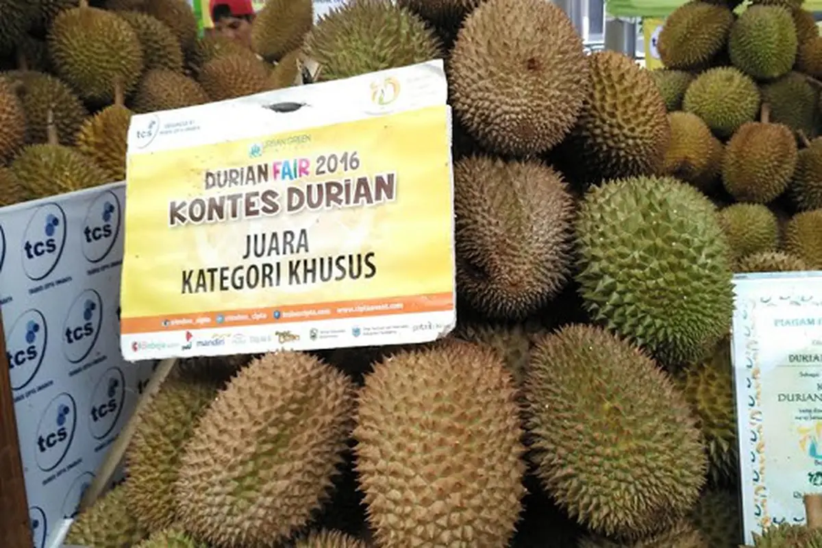 Kontes Durian pada Durian Fair 2016 di Jakarta