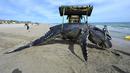 Alat berat mengevakuasi seekor paus bungkuk yang terdampar di pantai Carnon dekat La Grande-Motte, Prancis selatan, Rabu (27/5/2021). Paus bungkuk sepanjang tujuh meter (23 kaki) itu dievakuasi dari pantai dan harus menjalani autopsi untuk menentukan penyebab kematian. (Pascal GUYOT/AFP)