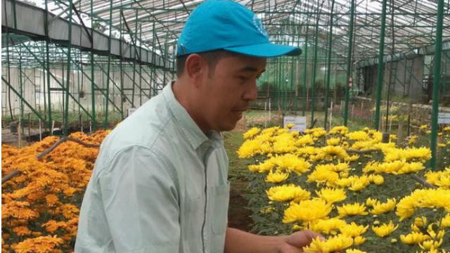 Pagi Cerah Di Taman Bunga Krisan Cianjur Regional Liputan6com