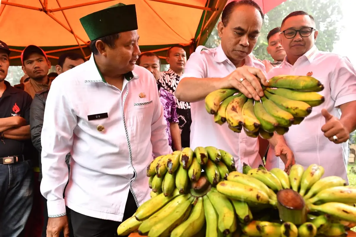 Wamendes Budi Arie Setiadi